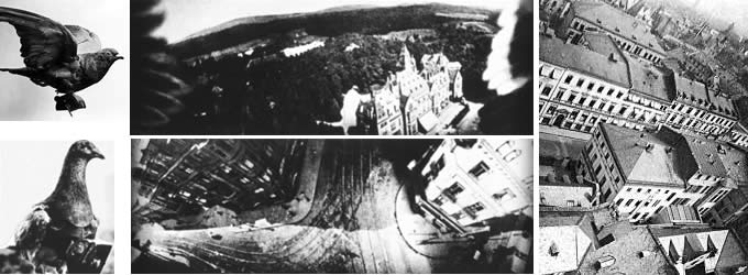 Early aerial photographs taken from pigeon mounted cameras
